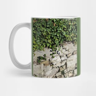 Ivy and Stone Mug